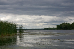 5 Tips to Overcome Cold Front Conditions When Fishing for Bass