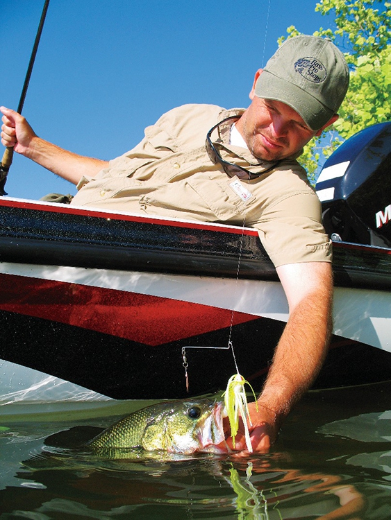 Spinnerbait Buying Guide