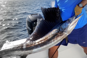 Fishing the Controlled Depths While Drifting or at Anchor - Coastal Angler  & The Angler Magazine