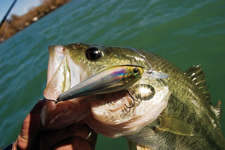 Easy Bass Fishing with Zoom Grubs 