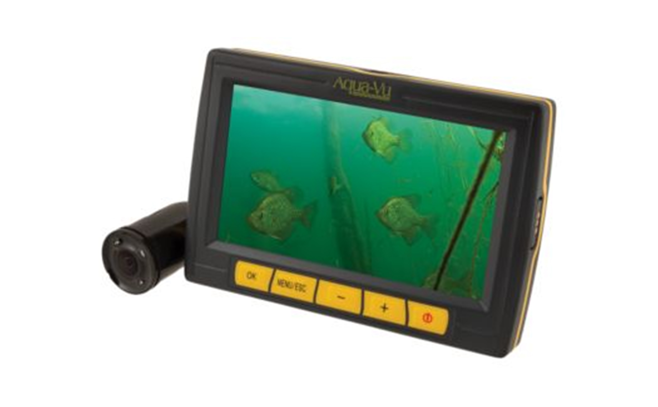 Underwater Camera Buyer's Guide