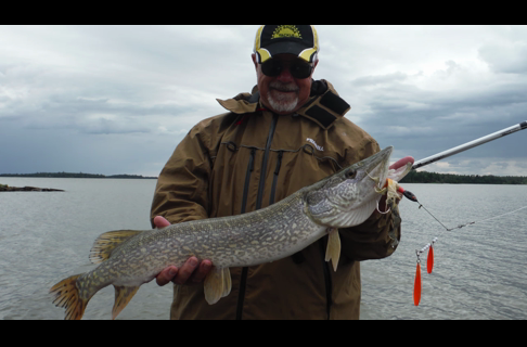 Spinnerbaits for Shallow Pike and Muskies