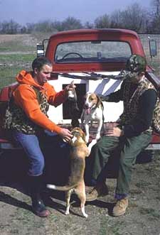 Hall mountain rabbit sales beagles