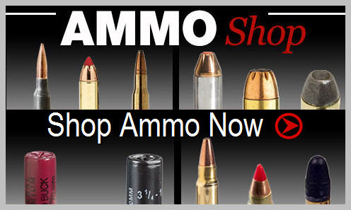 Ammo shop - Shop Ammo Now at basspro.com