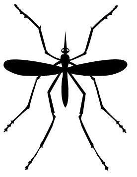 1 mosquito g