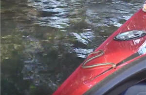 1 snake kayak