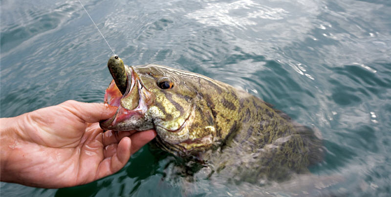 The 5 Fishing Lures Smallmouth Can't Resist (video)