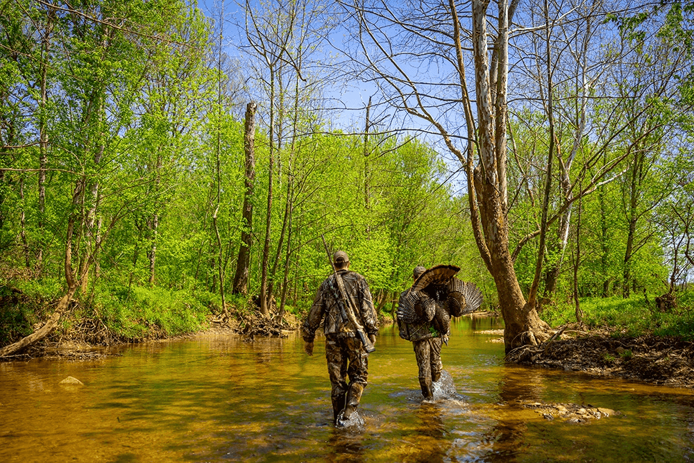 Successful Eastern hunt in Kentucky.