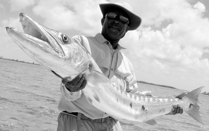 Tips and Tactics for Cobia Fishing– Hunting and Fishing Depot