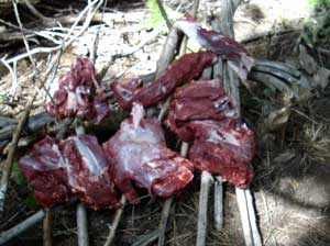 Deer meat laying out to dry