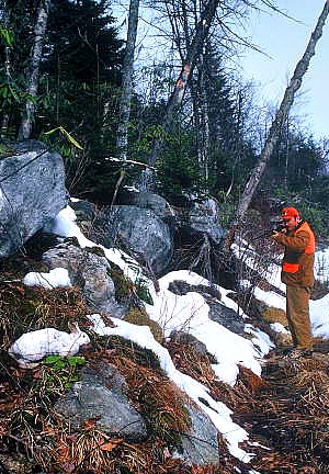 Almy Snowshoe Hare Shot