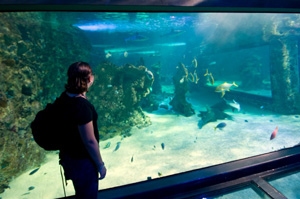 AquariumInsights blog