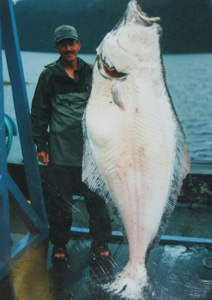 catch bigger fish lures