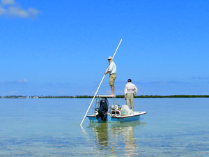 Angler fishing the flats at Bimini