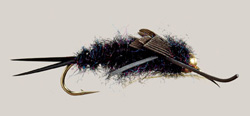 BrookTroutBasics WRFSStoneFlyAssortment