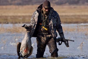 Canada Goose Hunting Basics, How & Where to Hunt