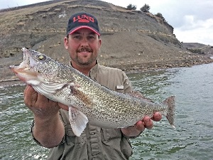 Cody Moxley Walleye 1