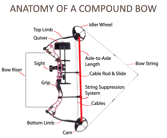Parts of a Compound Bow 