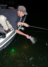 Crappie angler reaching over side of boat for his fish