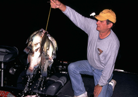 Crappie Angler  fishing at dark