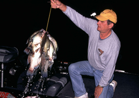 Crappie Fishing After Dark