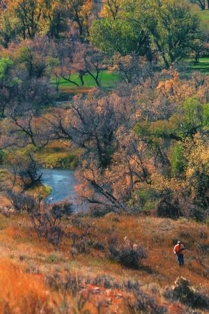 Deer hunter next to creek