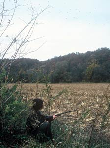 Person sitting in a field holding a shotgun