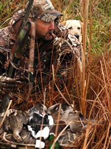 Hunter With Dogs And Ducks