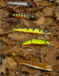 MuskieFIRST  What new baits and gear for 2010? » Lures,Tackle, and  Equipment » Muskie Fishing