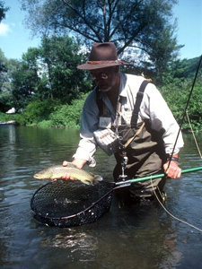 FavoriteFlyHatchesForTrout blog