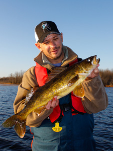 FeastFallWalleye blog