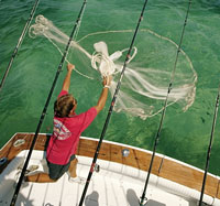 Fishing Net Buyer's Guide