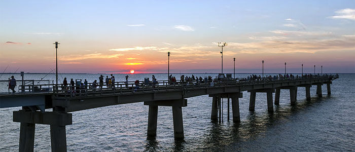 Essential Gear to Get Started Pier Fishing