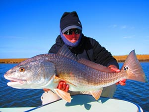 My Two Favorite Redfish Lures To Use In Louisiana - Flats Class