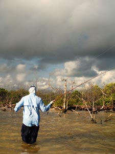 FlyFishingSnook 2