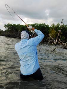 Catch More Snook With This Leader Hack! - Flats Class  