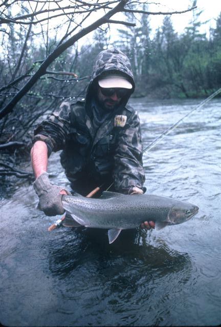 FlyFishingSteelhead2 blog