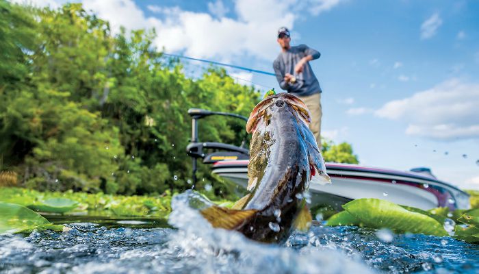 Fishing stringer #fish #fishing #bassfishing #bass