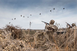 Waterfowl hunter