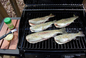 Fish grilling