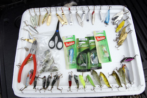 HeavyMetalForFallJigging lures