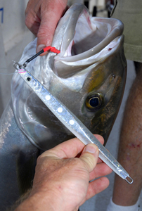 Deep Sea Fishing: Why Heavy-Metal Jigging is so Effective