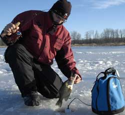 Ice fishing angler reeling in his catch through the ice hole