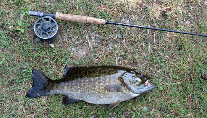 Go for Crawfish Flies for Bass and Trout