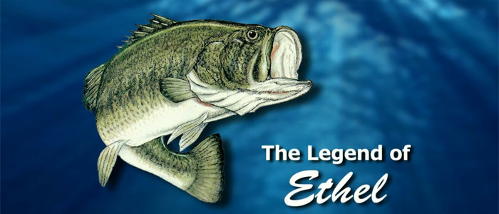 Return of a bass fishing legend