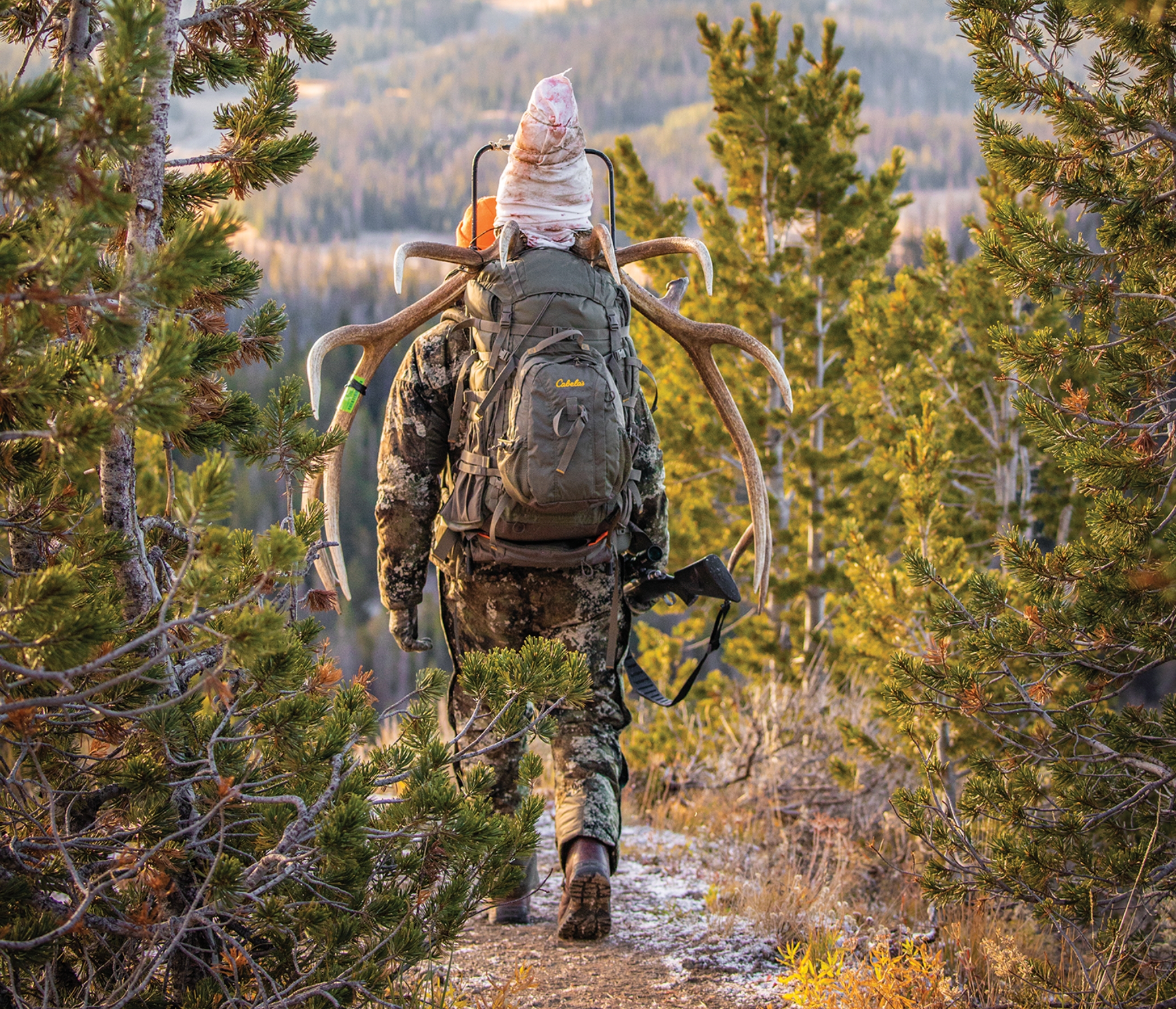 Hunter carrying elk meat and antlers through woods