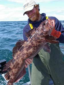 MeanUgly Lingcod