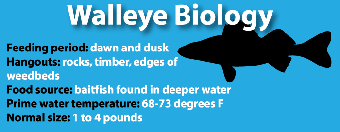MonsterSouthernWalleye biologygraphic