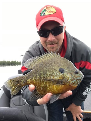 Pros4-1Source's Keith Worrall with a big bluegill caught on Berkley Gulp