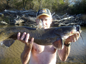 Noodling Catfish in Kansas - Lessons Learned